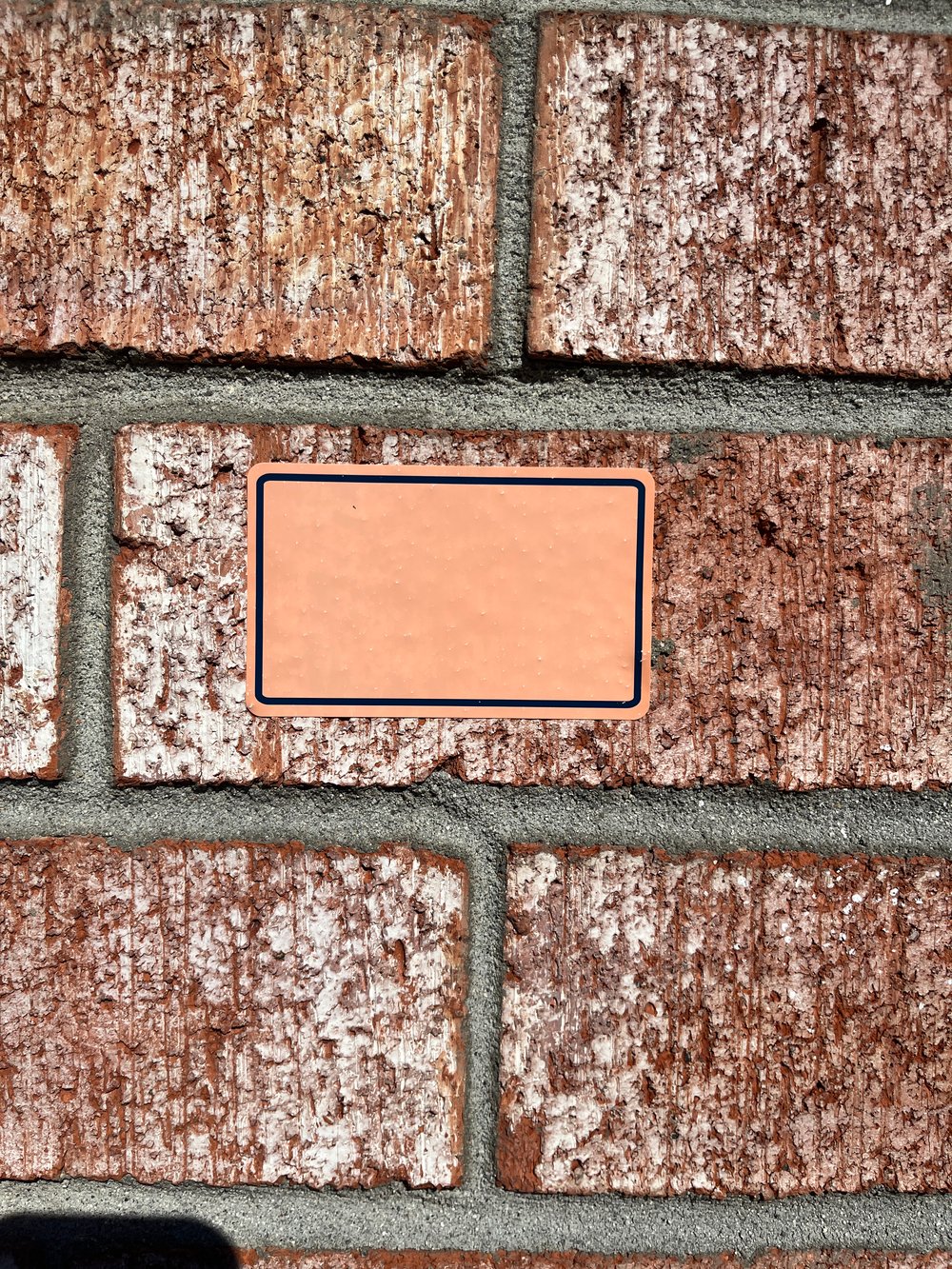 CORAL (100 PIECES)- EGGSHELL BLANKS (4X2.5”) 