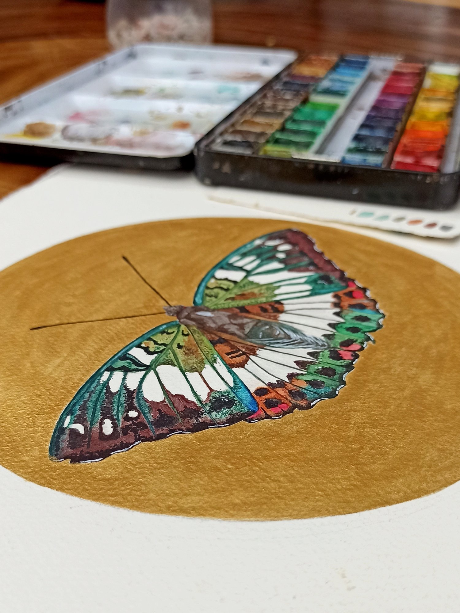 Image of Gaudy Baron Butterfly ORIGINAL ARTWORK 