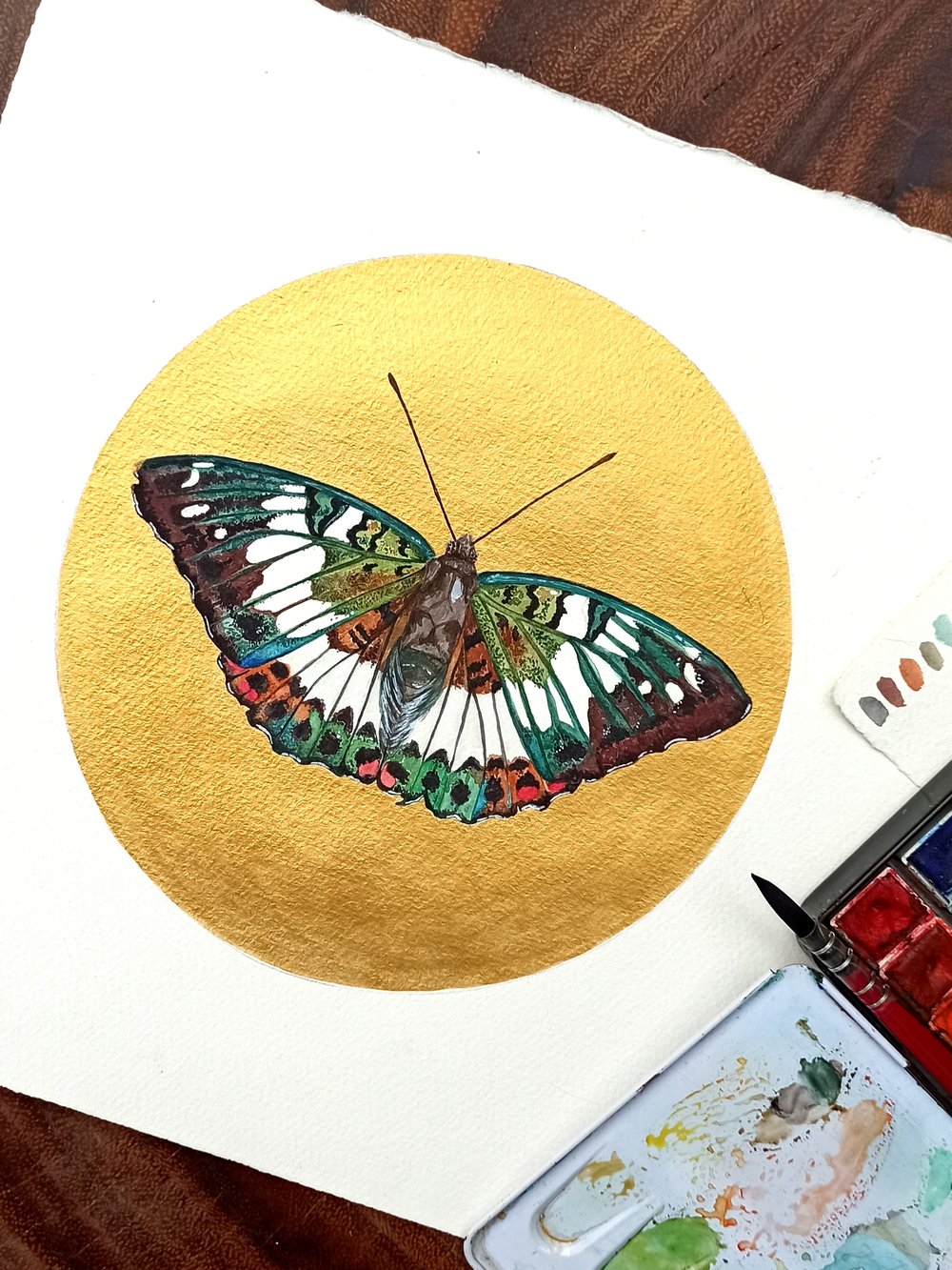 Image of Gaudy Baron Butterfly ORIGINAL ARTWORK 