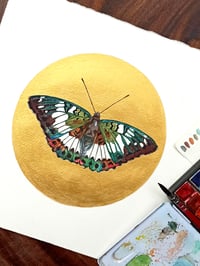 Image 1 of Gaudy Baron Butterfly ORIGINAL ARTWORK 