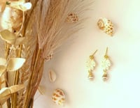 Image 4 of Leaf shell