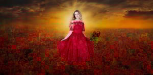 Image of Poppy Mini-Session 