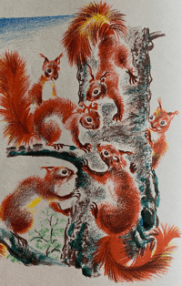 Image 4 of Panache the squirrel a Père Castor Book No.1