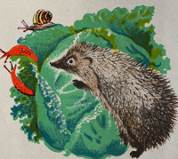 Image 2 of Père Castor Hedgehog