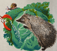 Image 2 of Père Castor Hedgehog