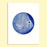 Image 1 of Poisson
