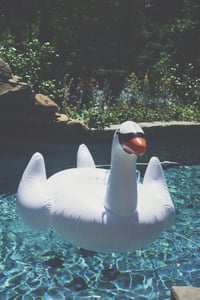Swan Beach Float 