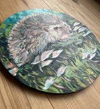 Image 5 of Shy but Spry – Friendly hedgehog on wood panel