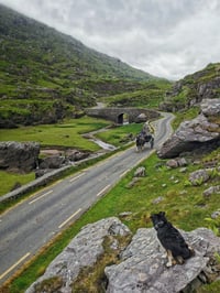 Gap of Dunloe.