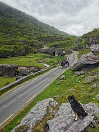 Gap of Dunloe, Co. Kerry. 