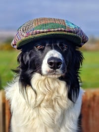 Farmer's Friend.