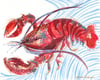 Lobster #1 (Diptych): Wholesale Prints