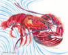 Lobster #2 (Diptych): Wholesale Prints