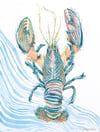 Blue Lobster: Wholesale Prints