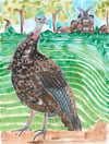 The Hampton Maid Turkey: Wholesale Prints