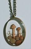 Bronze Oval Bezel Mushroom necklace