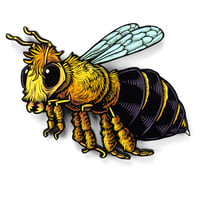 Bee Painted Woodcut **FREE SHIPPING**