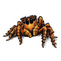 Spider Painted Woodcut **FREE SHIPPING**