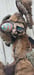Image of Easter "Bunny" 2024 #1