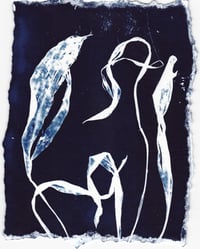 Untitled Cyanotype 2024 - Finland #16