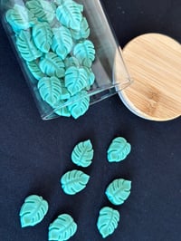 Image 2 of 2oz Monstera Wax Melts