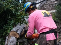 Image 4 of Lowelifes Sun Logo Trail Crew Long Sleeve Tee
