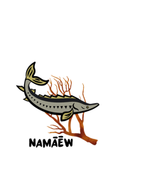 Image 1 of Namāēw - Adult Size