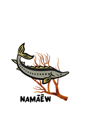 Image 1 of Namāēw - Kid's