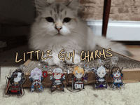 Image 1 of Mabinogi Little Guy + Apocalypse Charms.