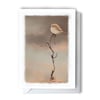 Riroriro / Grey Warbler Greeting Card