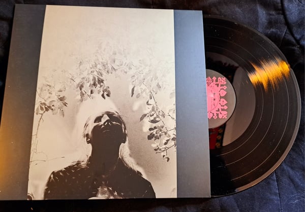 Image of Lukas Häger - Folkmord I Ting 12" Vinyl (CitharaSoli.)