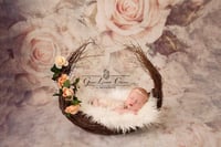 Twig nest boat