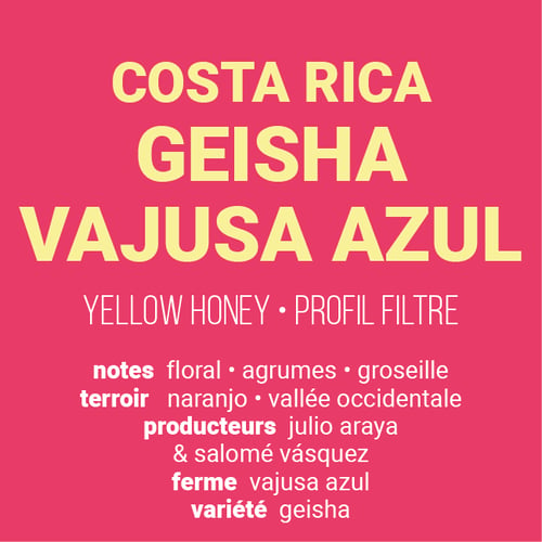 Image of Geisha Vajusa Azul - Costa Rica | FILTRE