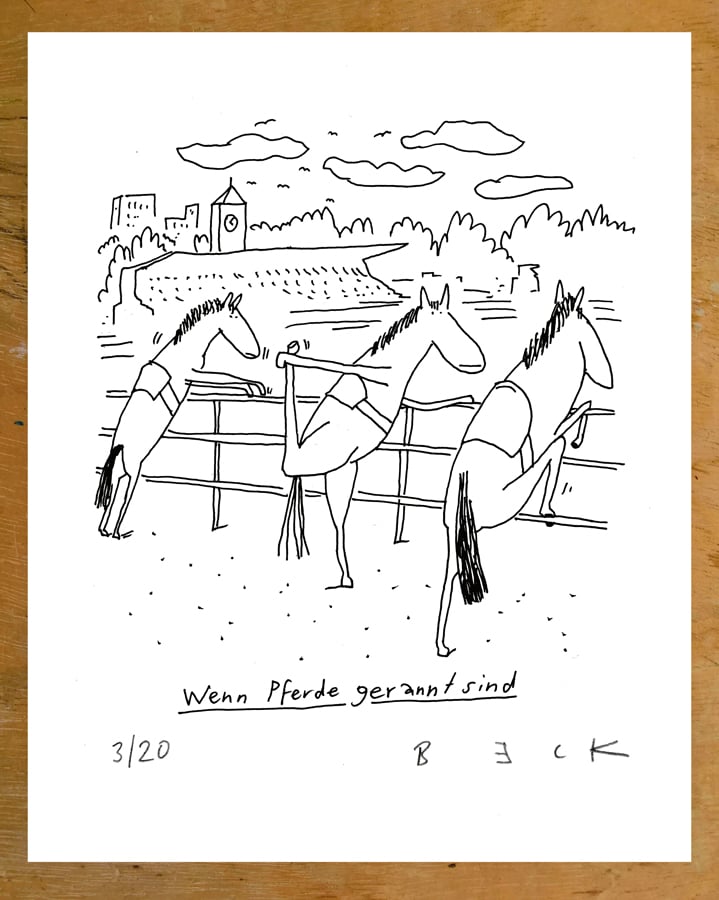 Image of Pferde gerannt