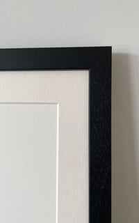 Image 4 of Avocets