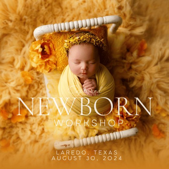 Image of Laredo, Texas Newborn Workshop- August 30, 2024