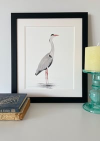 Image 1 of Grey Heron