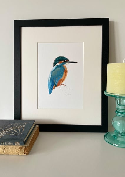 Image of Kingfisher