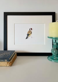 Image 1 of Gold Finch