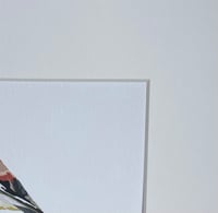 Image 3 of Gold Finch