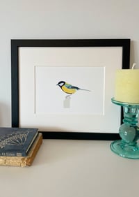 Image 1 of Great Tit