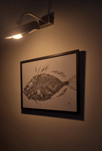 Image 1 of Alfaquique | Zeus faber - Original