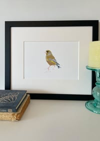 Image 1 of Green Finch