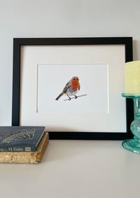 Image 1 of Robin