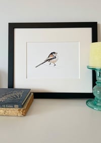 Image 1 of Long Tailed Tit