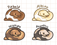 Image 2 of Ball Python - Tiny Reptile Enamel Pins