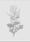Image of "Nigon Wyrta Galdor: The Nine Plants Spell" by J. S. Hopkins with art by Rim Baudey & Anneke Wilder