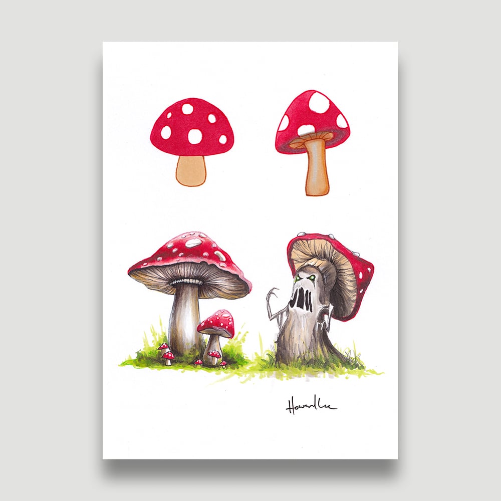 Image of Toadstools