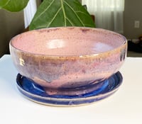 Image 1 of Purple Haze Planter Presale