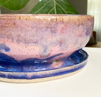 Image 3 of Purple Haze Planter Presale